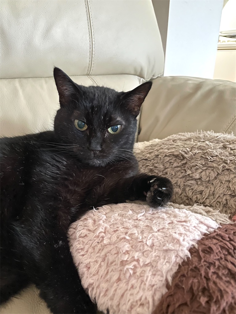 f:id:hiraryo0201:20221018140457j:image f:id:hiraryo0201:20221018140457j:image