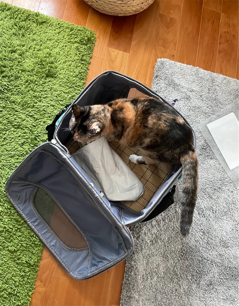 f:id:hiraryo0201:20221018180958j:image