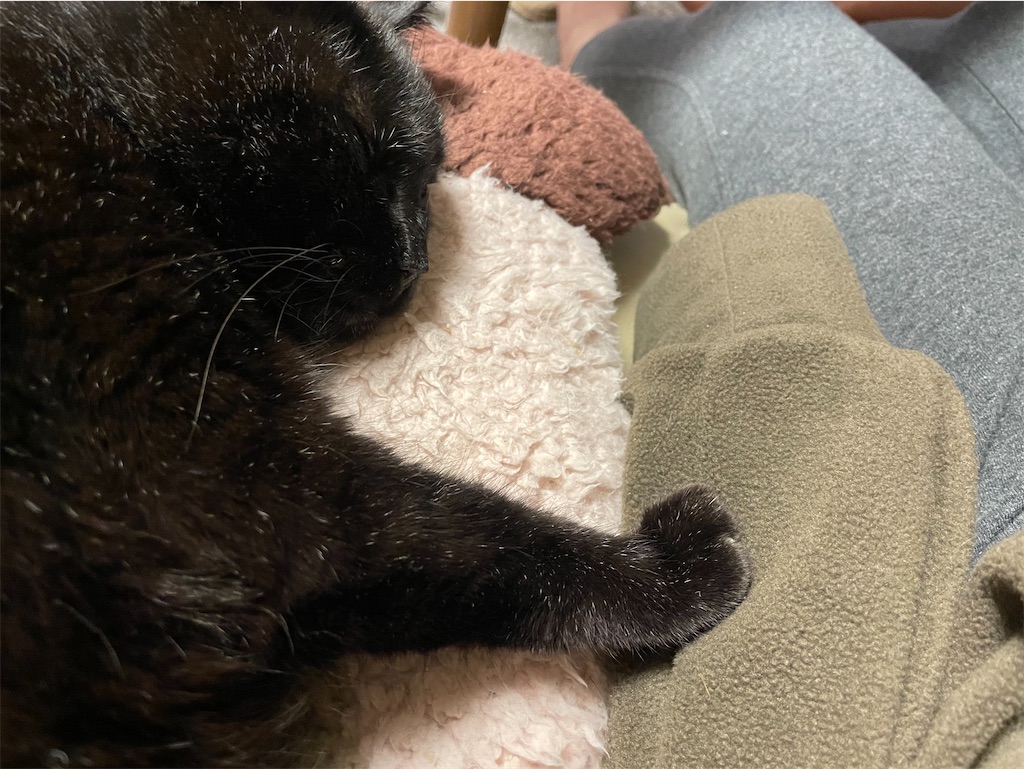 f:id:hiraryo0201:20221027122921j:image f:id:hiraryo0201:20221027122921j:image