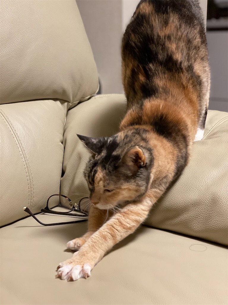 f:id:hiraryo0201:20221106090224j:image f:id:hiraryo0201:20221106090224j:image