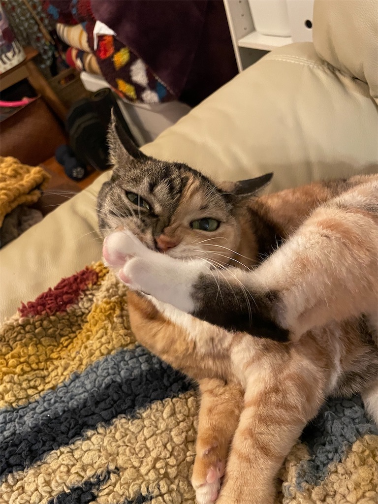 f:id:hiraryo0201:20221204100024j:image