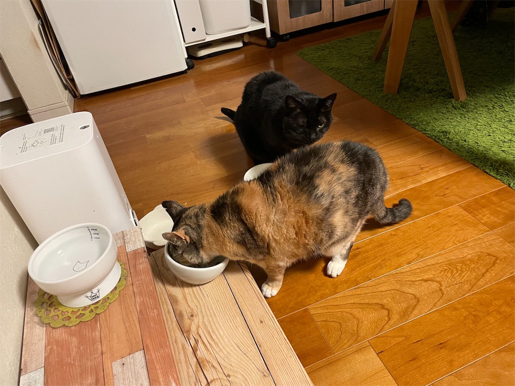 f:id:hiraryo0201:20221218100016j:image