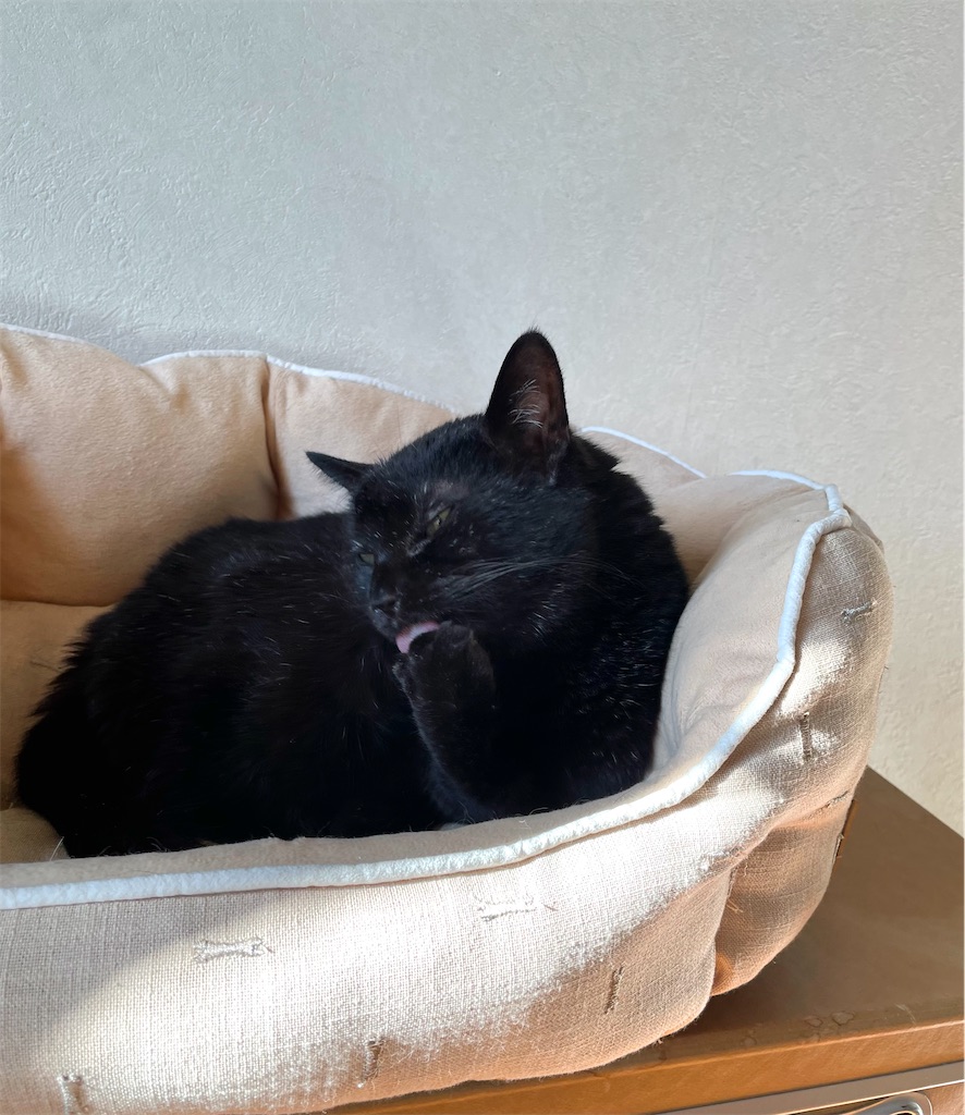 f:id:hiraryo0201:20221226230645j:image