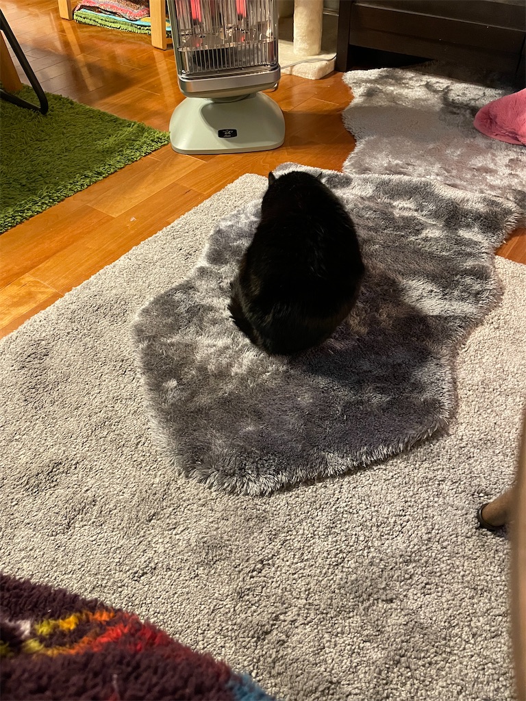 f:id:hiraryo0201:20230116073452j:image