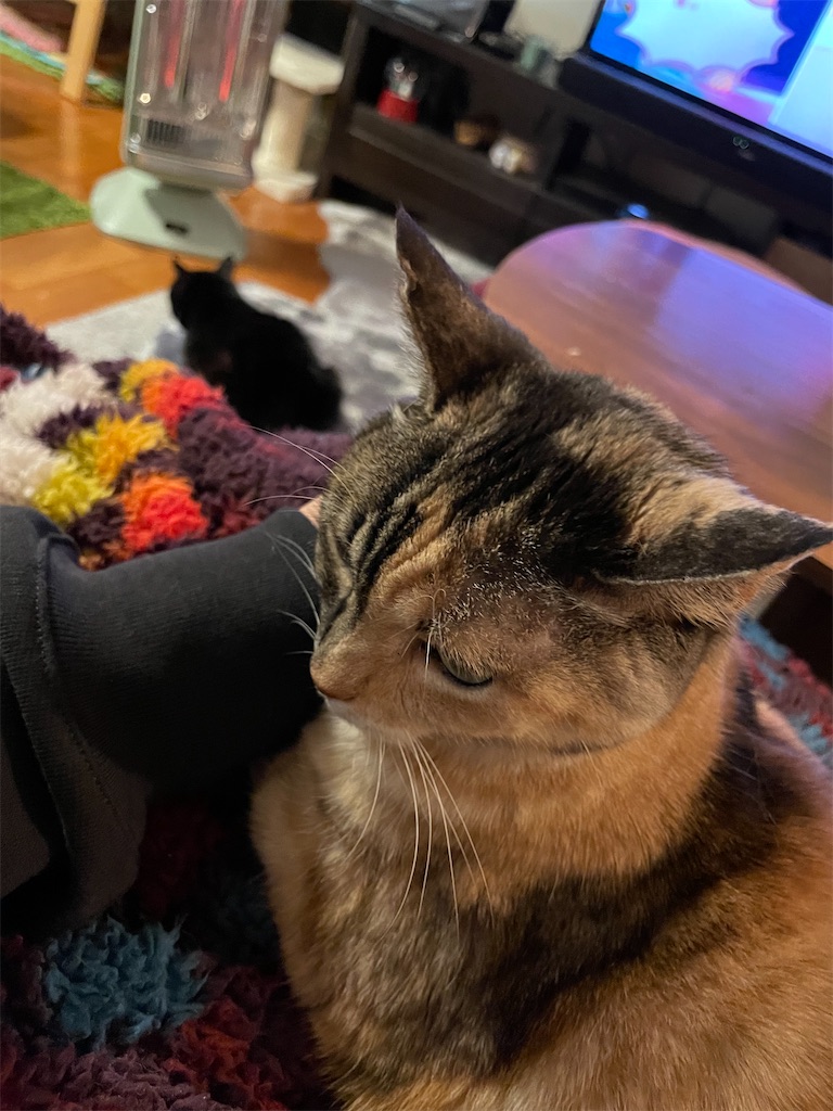 f:id:hiraryo0201:20230116073504j:image