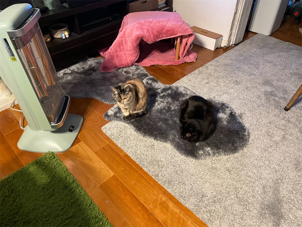 f:id:hiraryo0201:20230116073514j:image