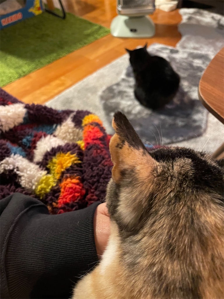 f:id:hiraryo0201:20230116211035j:image