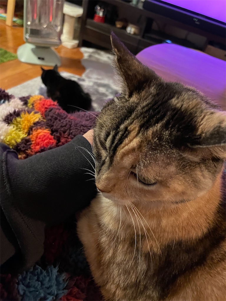 f:id:hiraryo0201:20230116211241j:image