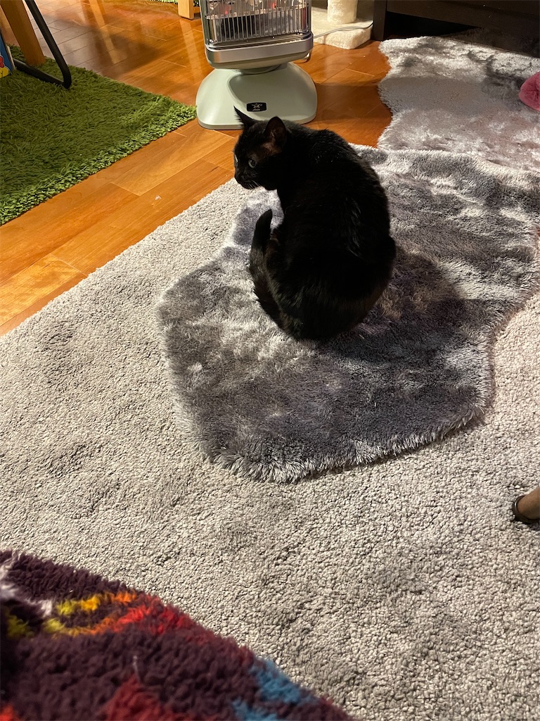 f:id:hiraryo0201:20230116211433j:image