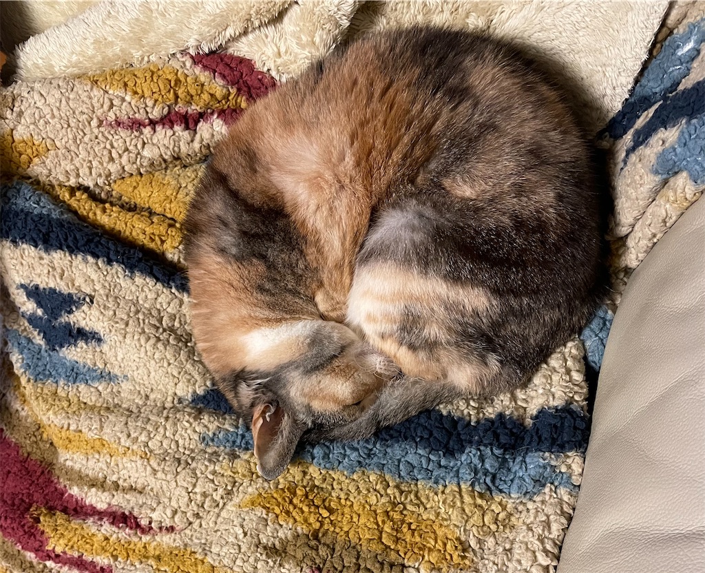 f:id:hiraryo0201:20230118073224j:image f:id:hiraryo0201:20230118073224j:image