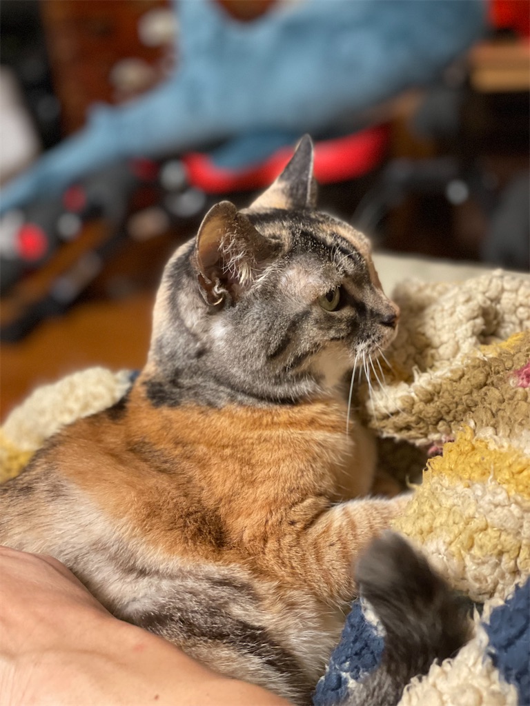 f:id:hiraryo0201:20230122024808j:image