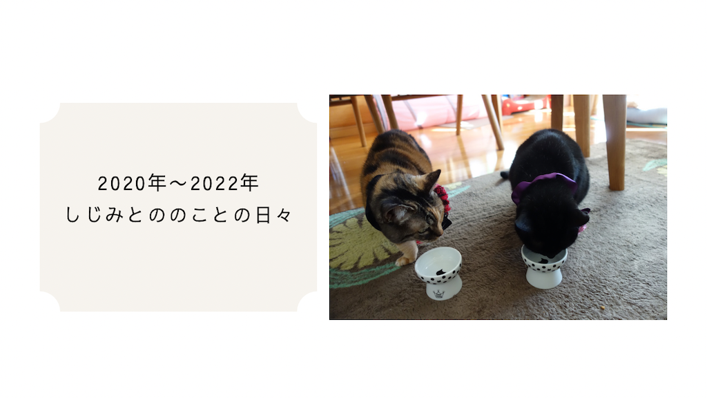 f:id:hiraryo0201:20230205184854p:image