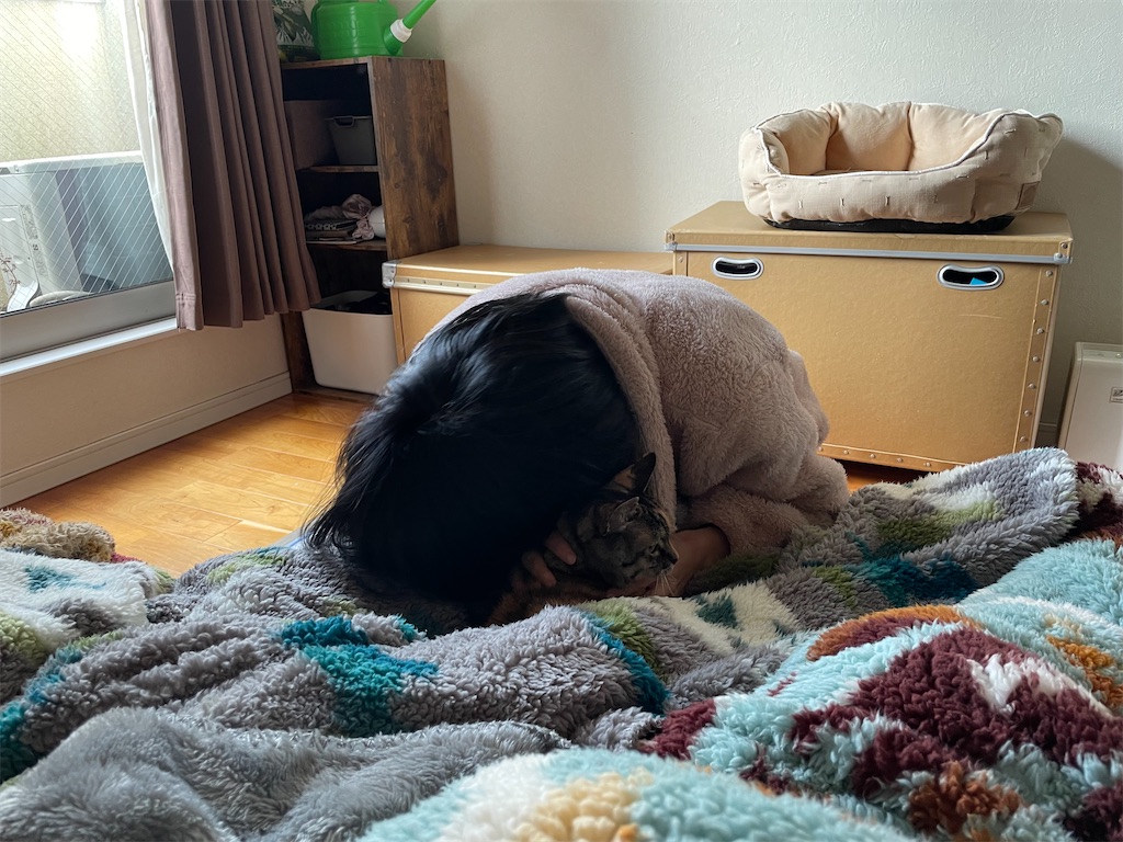 f:id:hiraryo0201:20230219180420j:image
