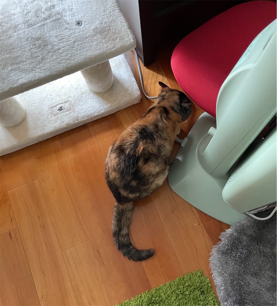 f:id:hiraryo0201:20230302214847j:image f:id:hiraryo0201:20230302214847j:image