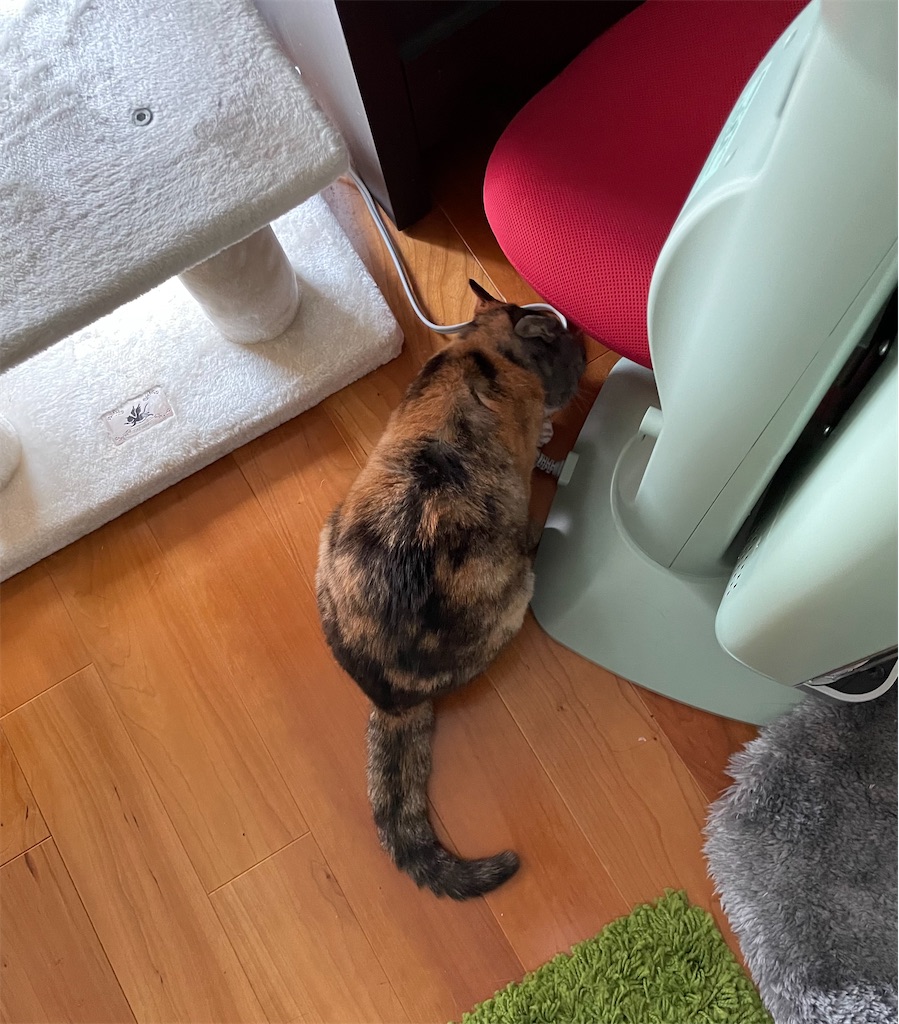 f:id:hiraryo0201:20230302214850j:image f:id:hiraryo0201:20230302214850j:image
