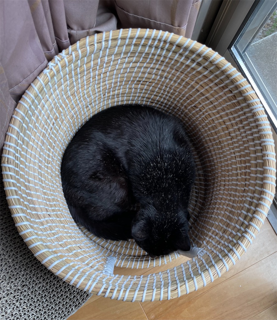 f:id:hiraryo0201:20230311095725j:image