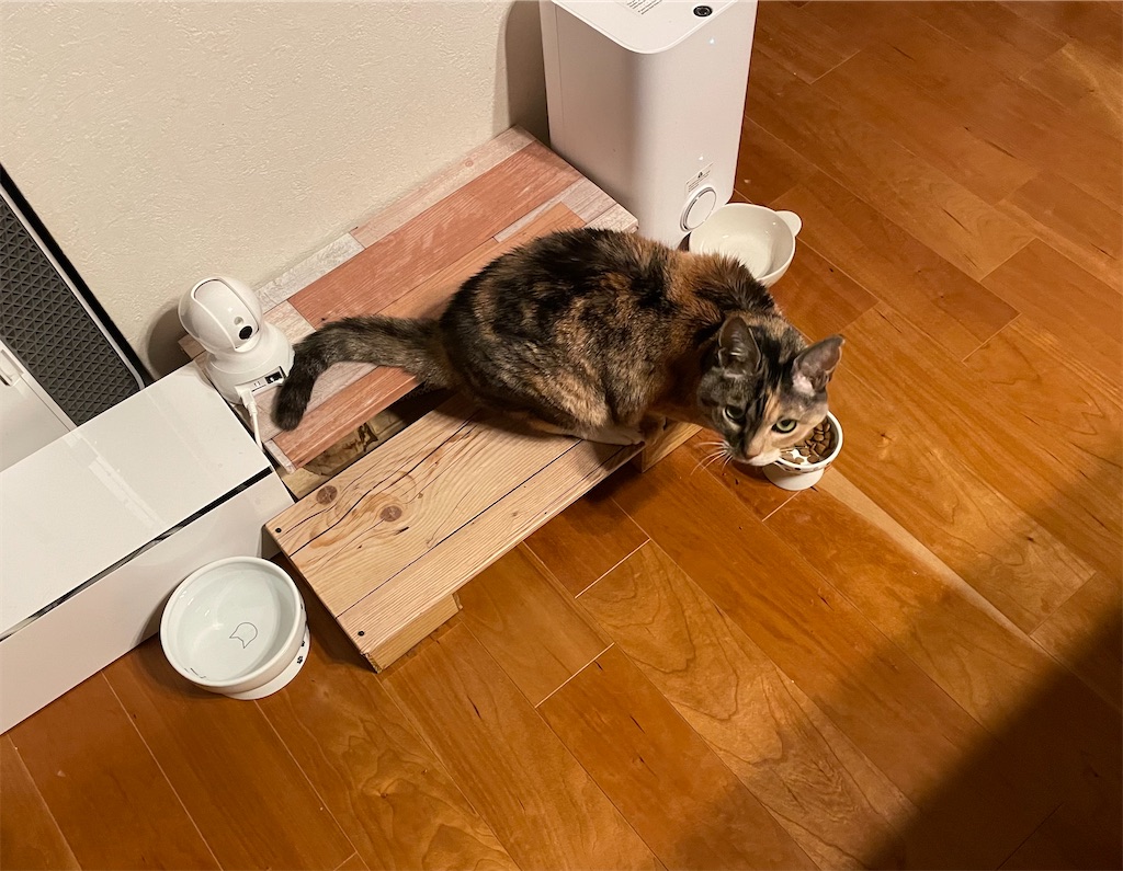 f:id:hiraryo0201:20230312073624j:image