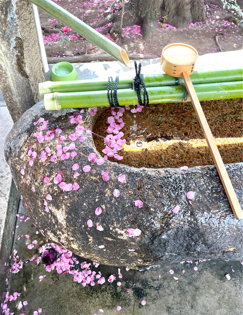 f:id:hiraryo0201:20230312073932j:image