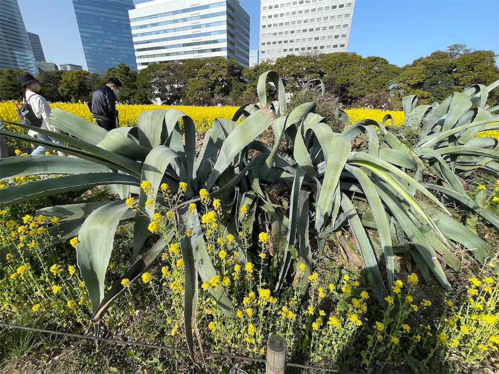 f:id:hiraryo0201:20230312074146j:image