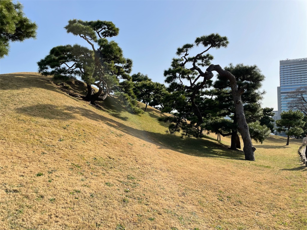 f:id:hiraryo0201:20230312074154j:image