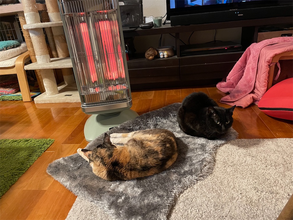 f:id:hiraryo0201:20230321115702j:image f:id:hiraryo0201:20230321115702j:image