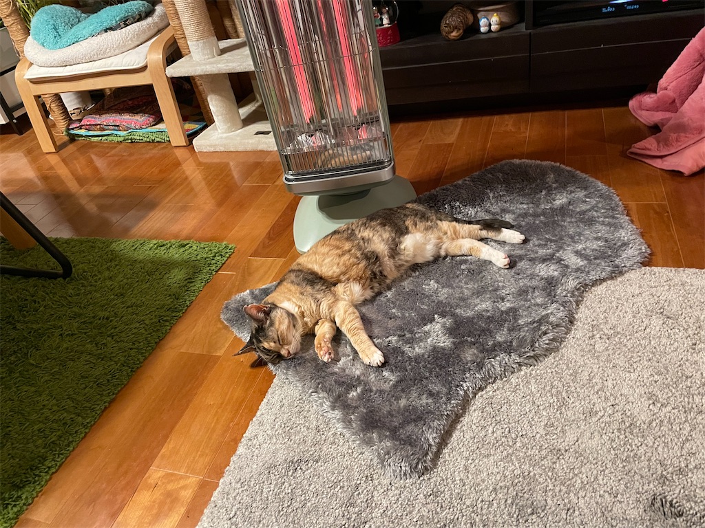 f:id:hiraryo0201:20230321115705j:image f:id:hiraryo0201:20230321115705j:image