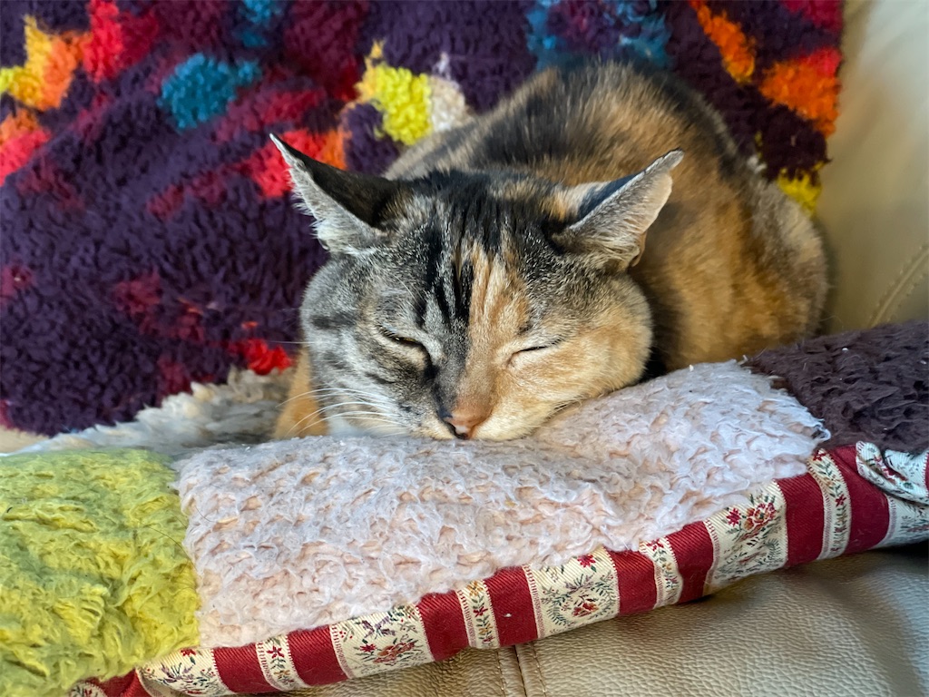 f:id:hiraryo0201:20230321115721j:image f:id:hiraryo0201:20230321115721j:image