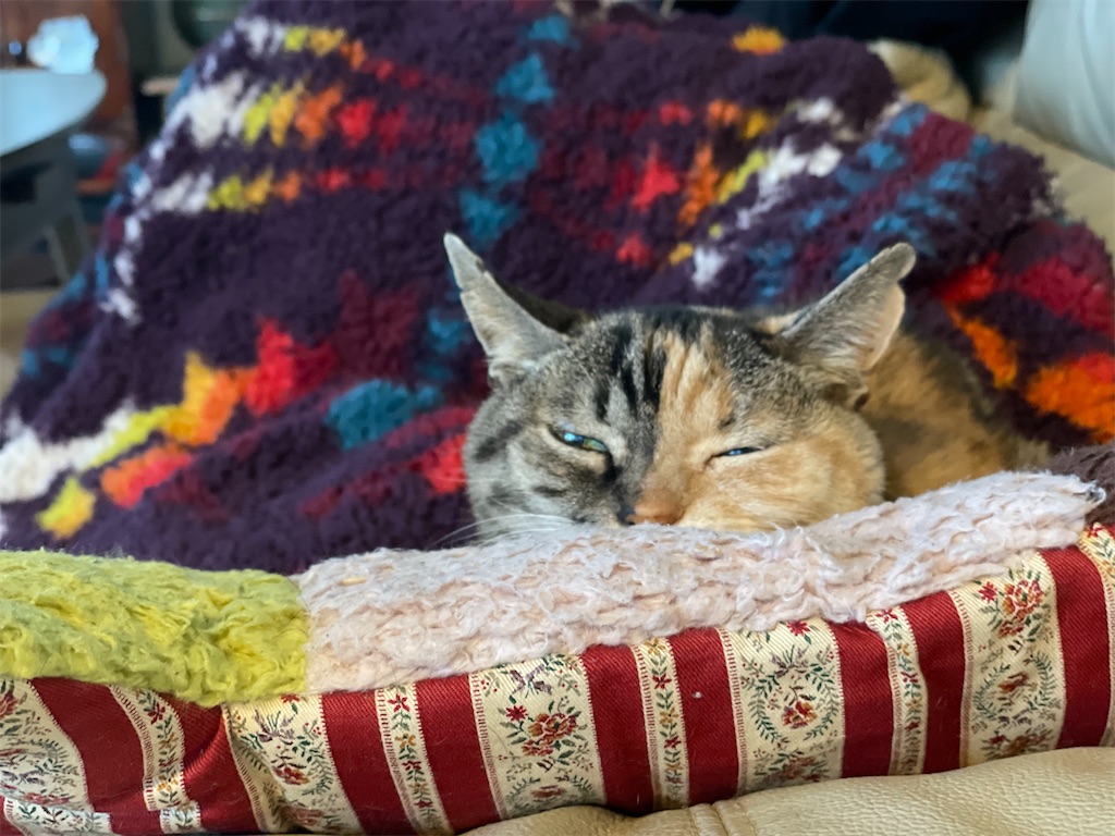 f:id:hiraryo0201:20230321115727j:image f:id:hiraryo0201:20230321115727j:image