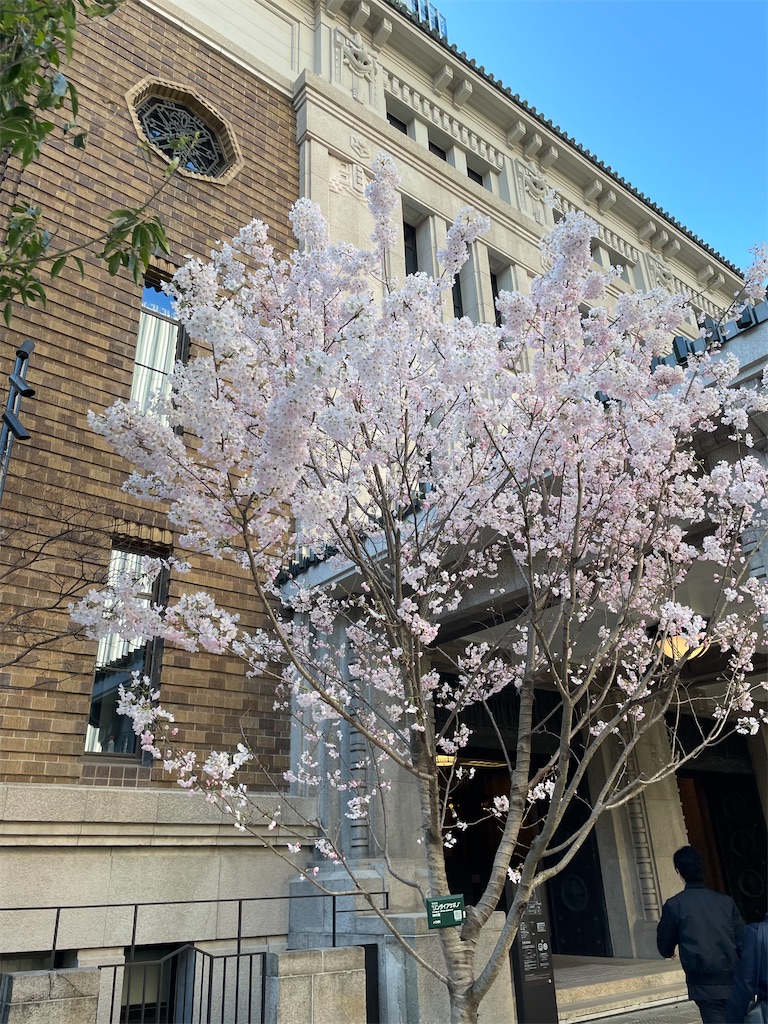 f:id:hiraryo0201:20230321142109j:image f:id:hiraryo0201:20230321142109j:image