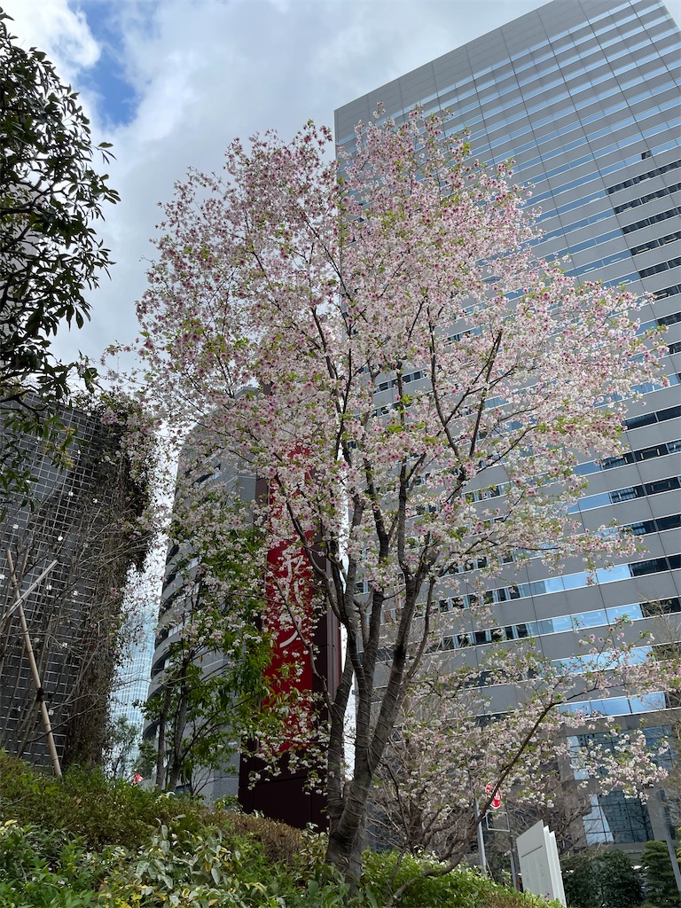 f:id:hiraryo0201:20230331124608j:image f:id:hiraryo0201:20230331124608j:image