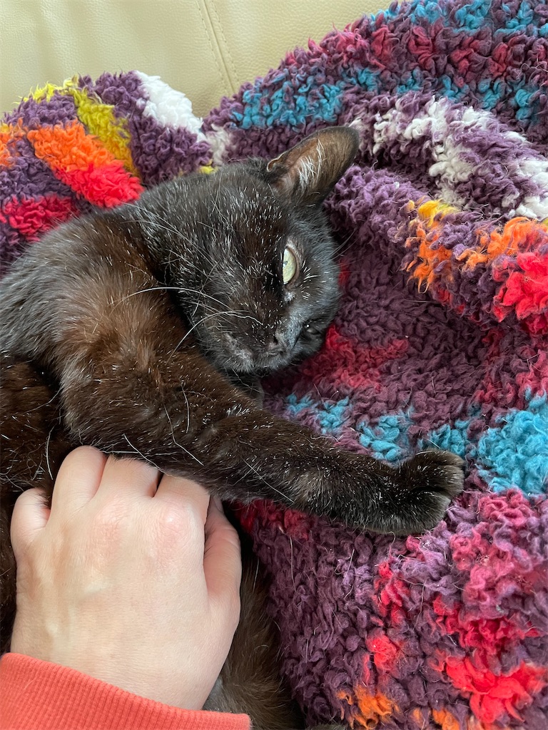 f:id:hiraryo0201:20230331124612j:image f:id:hiraryo0201:20230331124612j:image