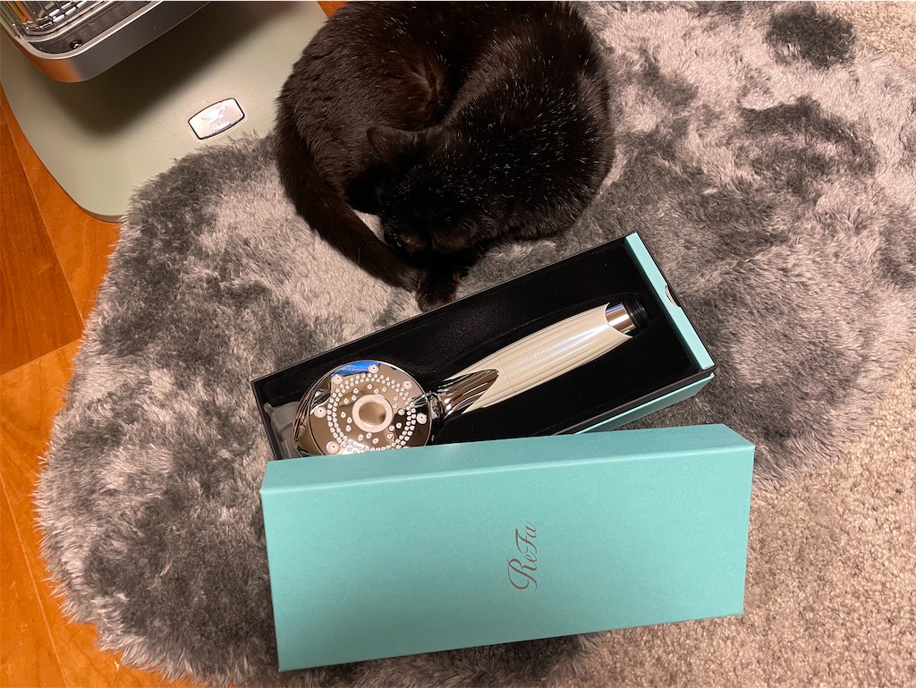 f:id:hiraryo0201:20230404122541j:image