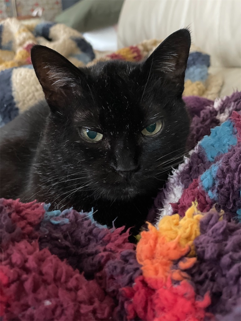 f:id:hiraryo0201:20230407211014j:image