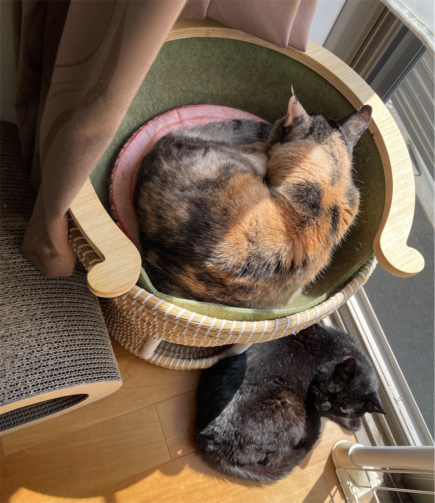 f:id:hiraryo0201:20230408162914j:image