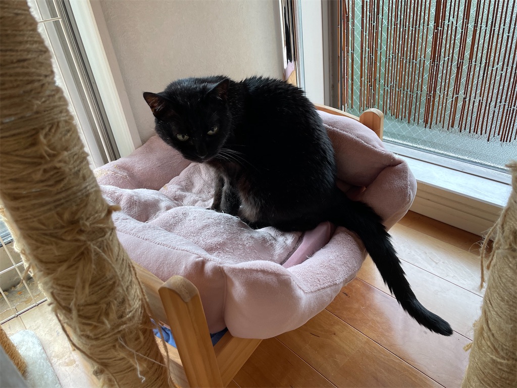 f:id:hiraryo0201:20230408162917j:image