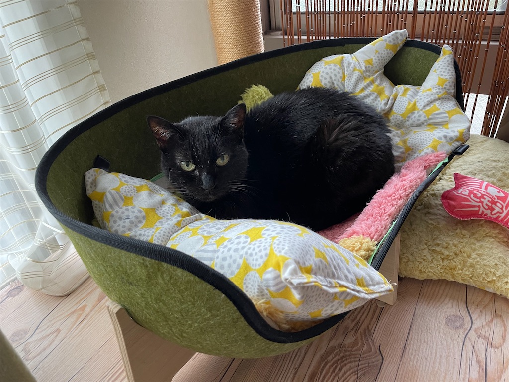 f:id:hiraryo0201:20230408162924j:image