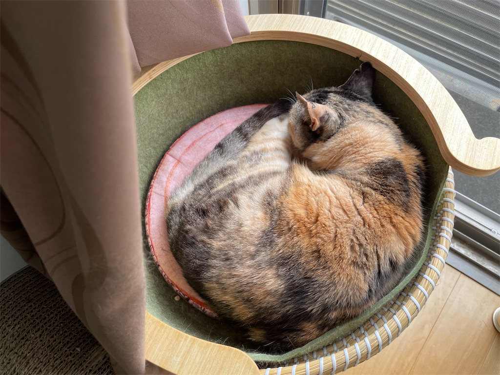 f:id:hiraryo0201:20230408164546j:image