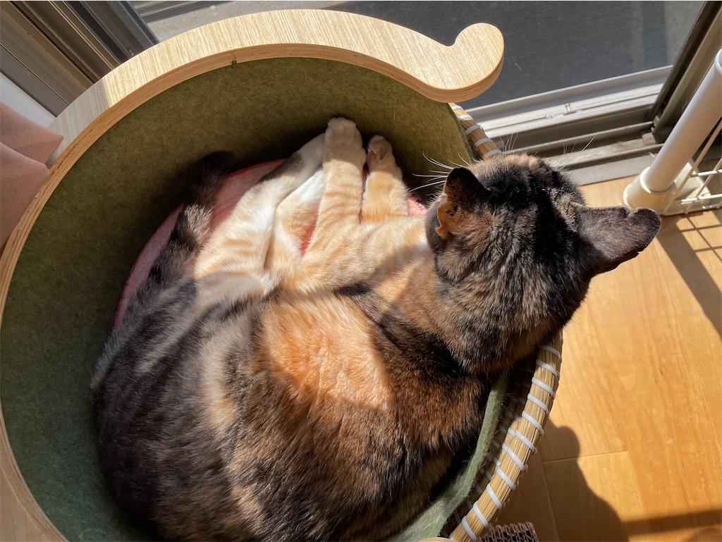 f:id:hiraryo0201:20230409131232j:image