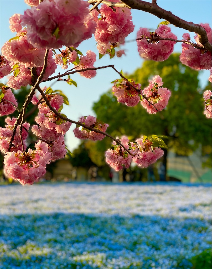 f:id:hiraryo0201:20230409181835j:image