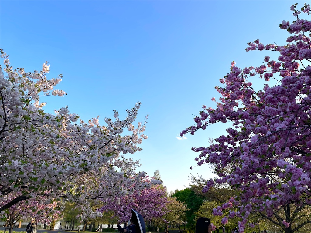 f:id:hiraryo0201:20230409181839j:image