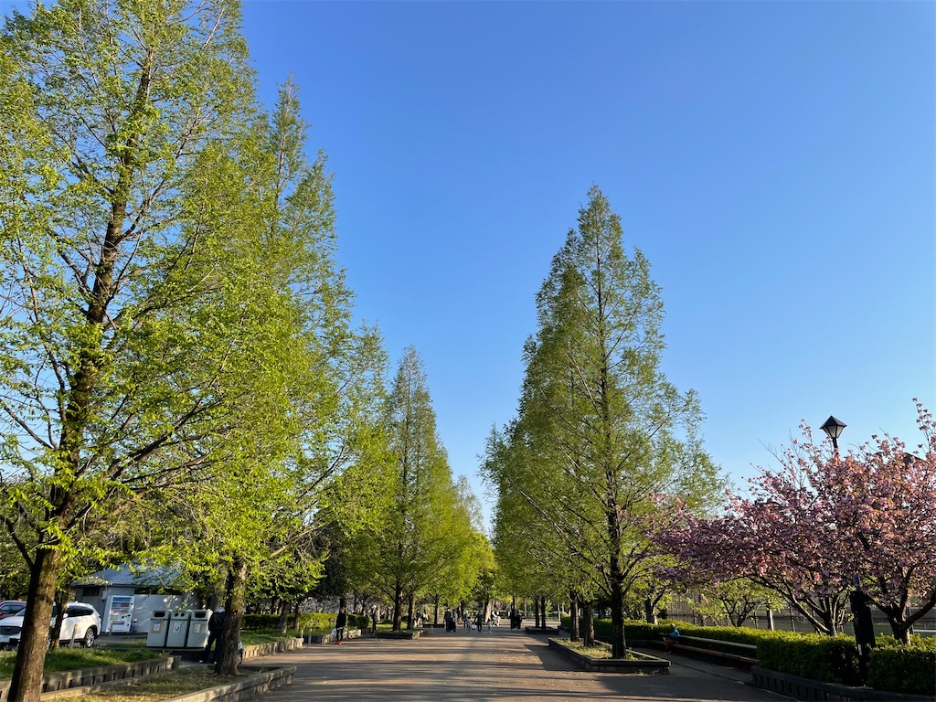 f:id:hiraryo0201:20230409181902j:image