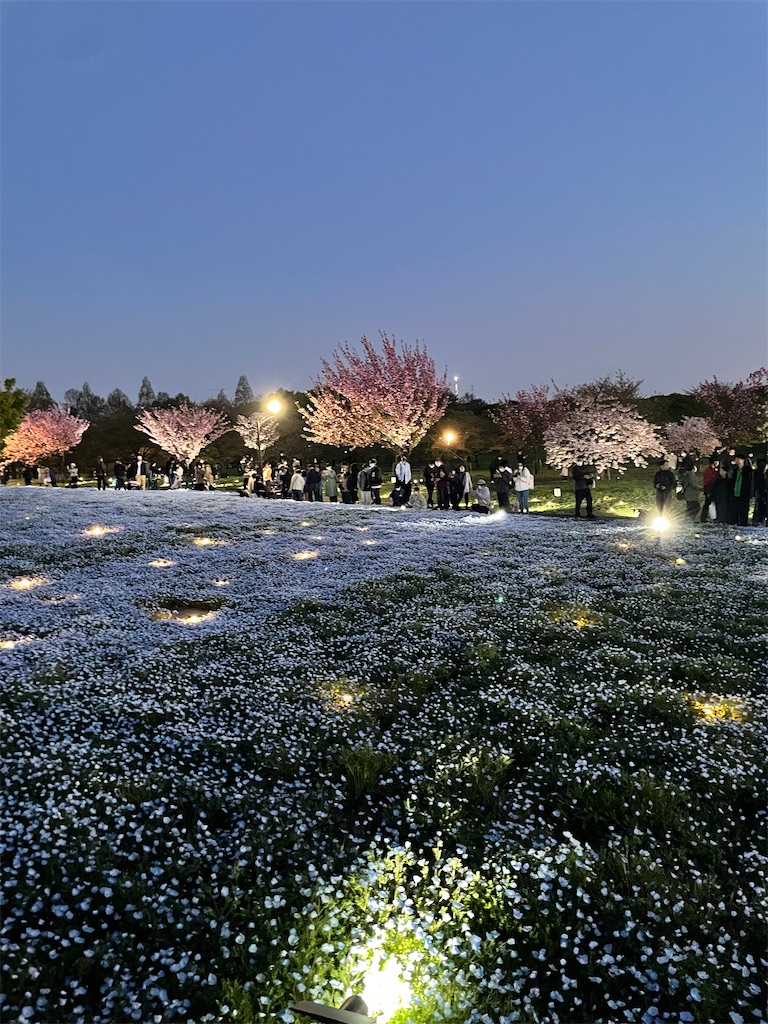 f:id:hiraryo0201:20230409194849j:image