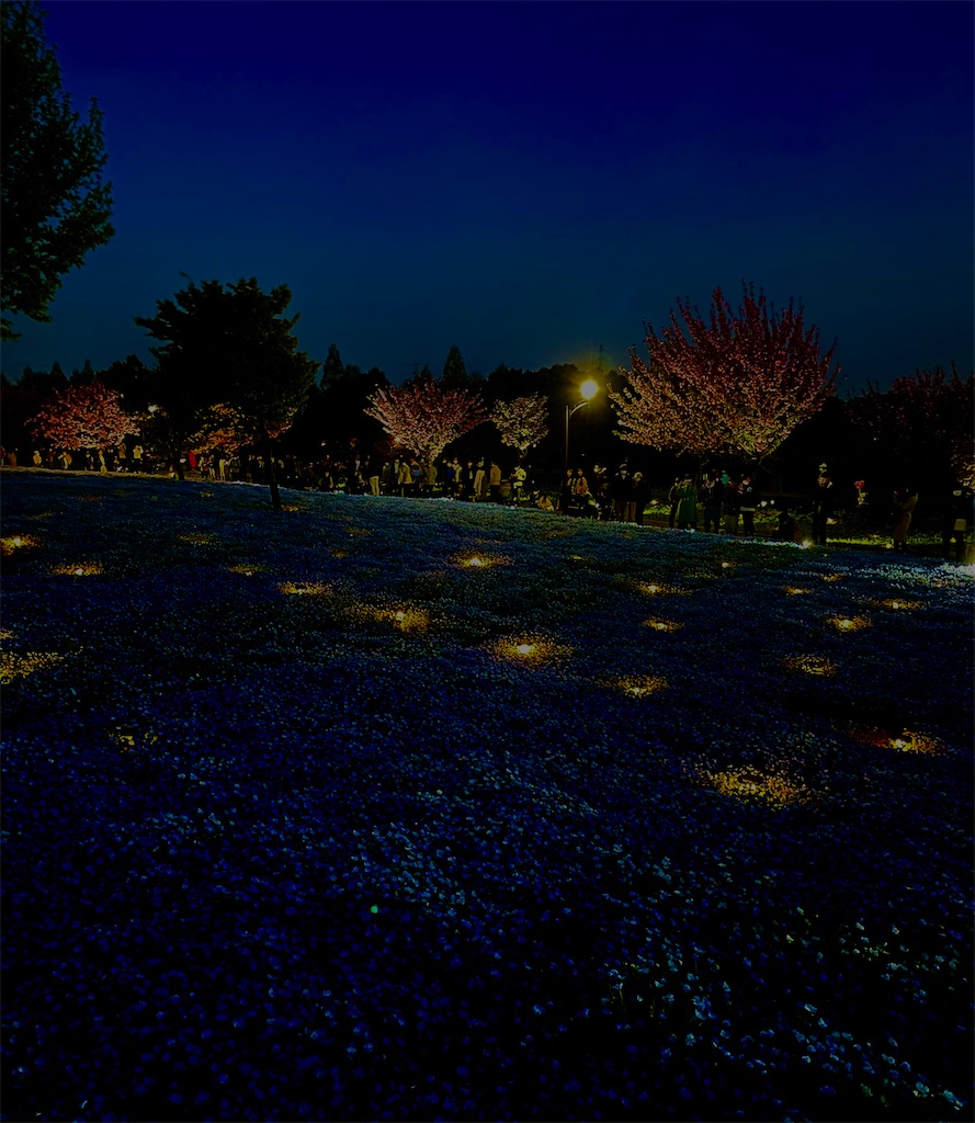 f:id:hiraryo0201:20230409194852j:image