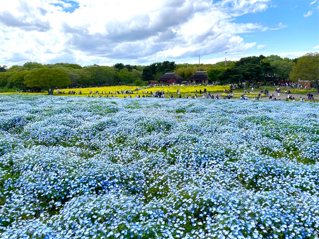 f:id:hiraryo0201:20230417215331j:image