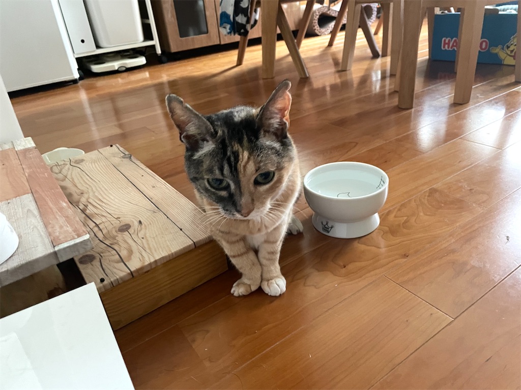 f:id:hiraryo0201:20230430180341j:image
