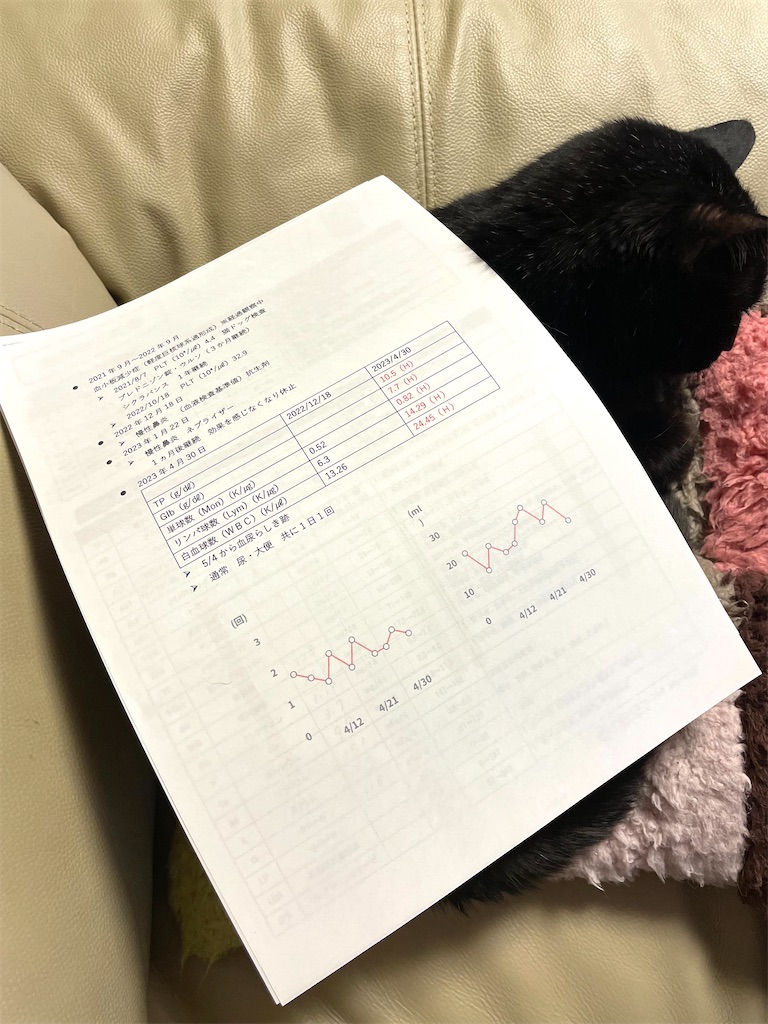 f:id:hiraryo0201:20230506094020j:image f:id:hiraryo0201:20230506094020j:image