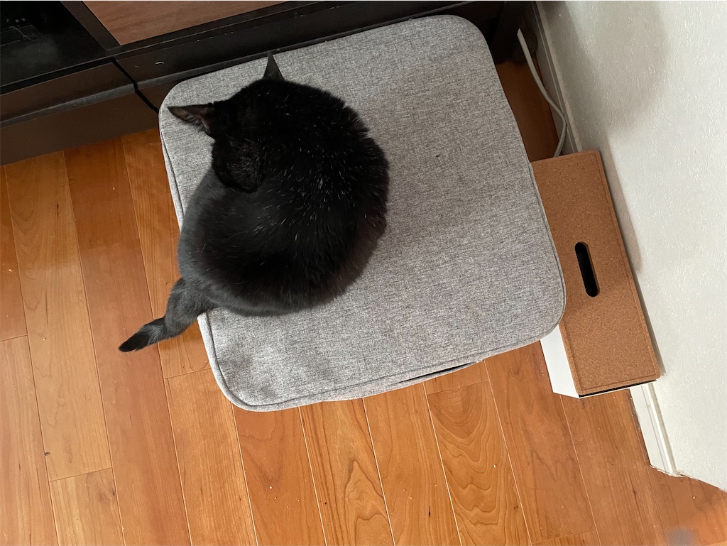 f:id:hiraryo0201:20230506094031j:image f:id:hiraryo0201:20230506094031j:image