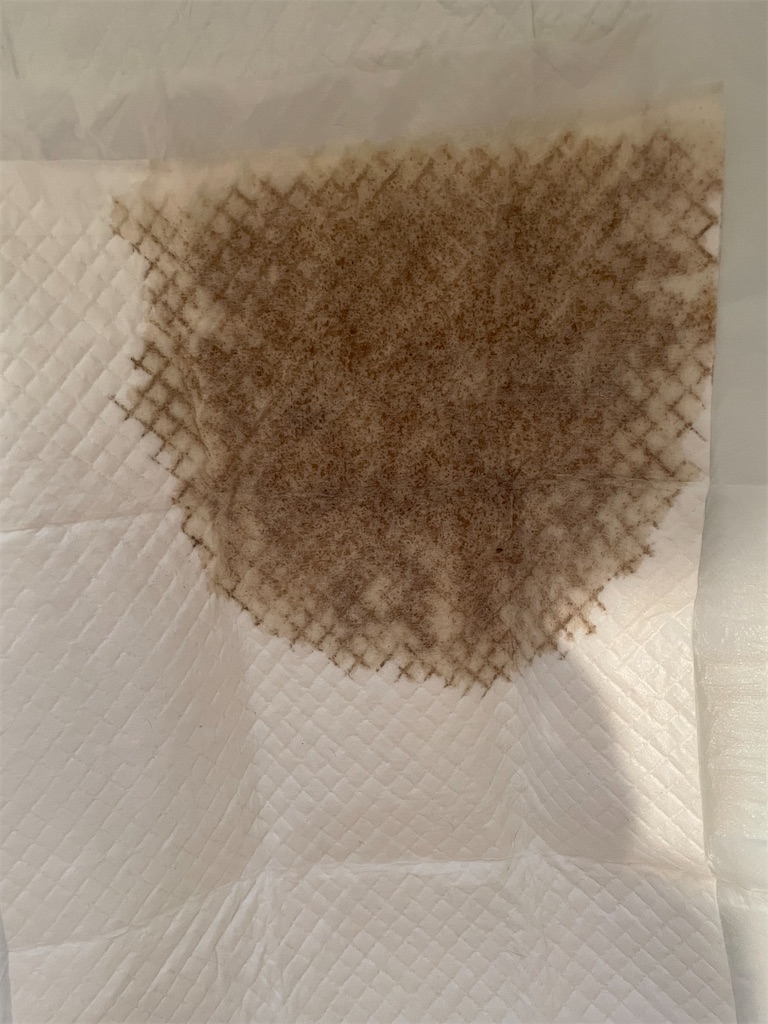 f:id:hiraryo0201:20230507022101j:image f:id:hiraryo0201:20230507022101j:image