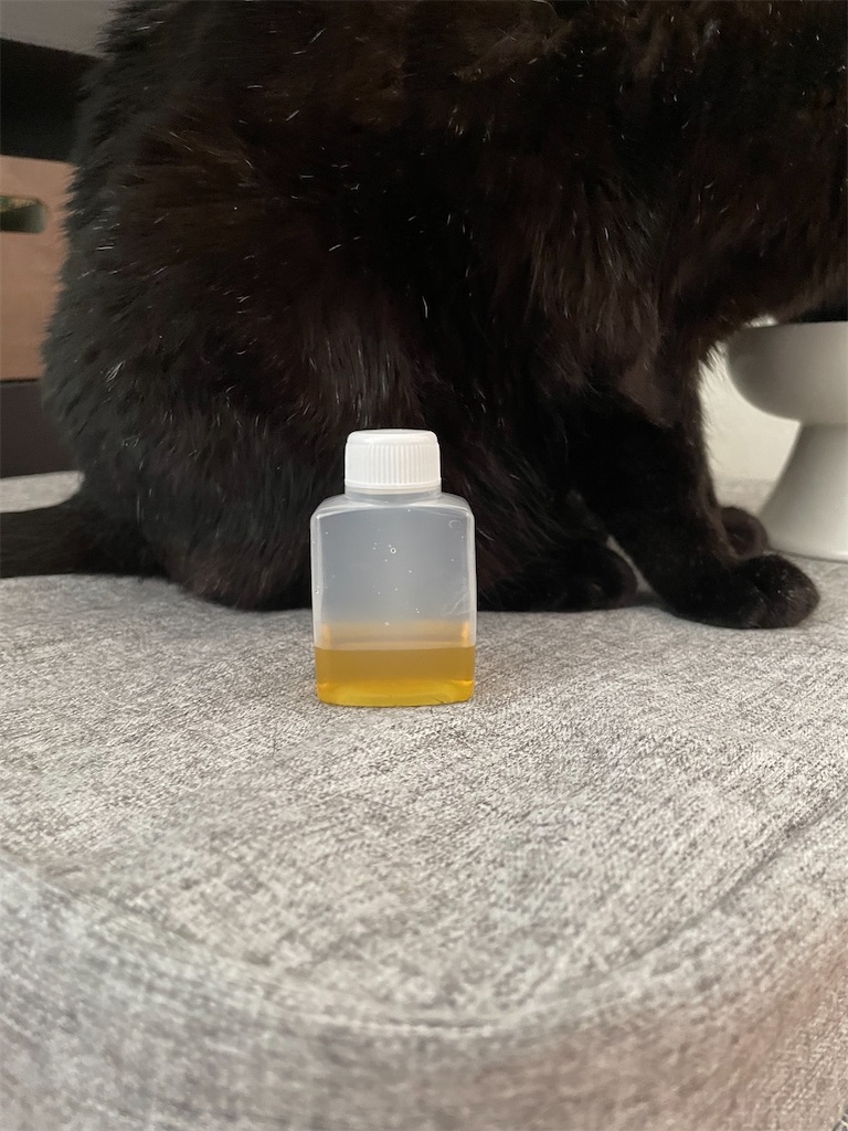 f:id:hiraryo0201:20230507022104j:image f:id:hiraryo0201:20230507022104j:image