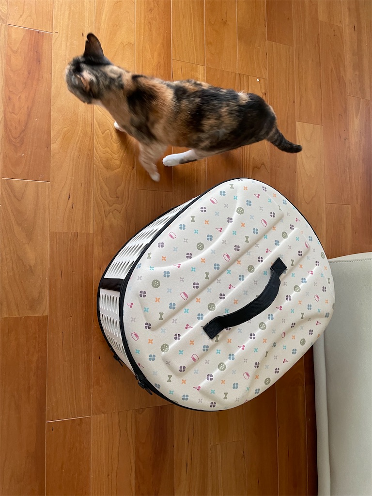 f:id:hiraryo0201:20230513083616j:image